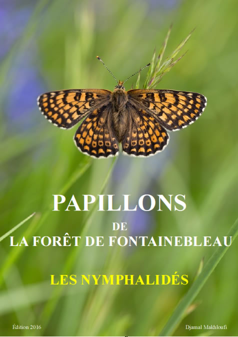 Papillons Nymphalidés de la forêt de Fontainebleau - Ebook nature