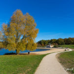 Ile de loisirs de Bois le Roi (paysages de la forêt de Fontainebleau)