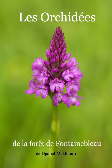 Ebook nature - Orchidées de la forêt de Fontainebleau